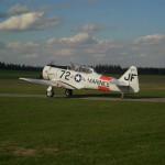 Texan 01