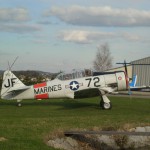 Texan 03