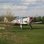 Texan 04