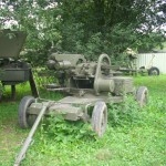 IMG_2940 IMG_2940