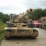 IMG_2981 IMG_2981